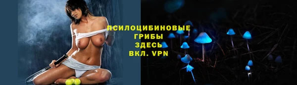 спиды Алексеевка