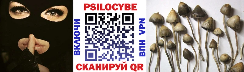 Псилоцибиновые грибы Magic Shrooms  цены   Арск 